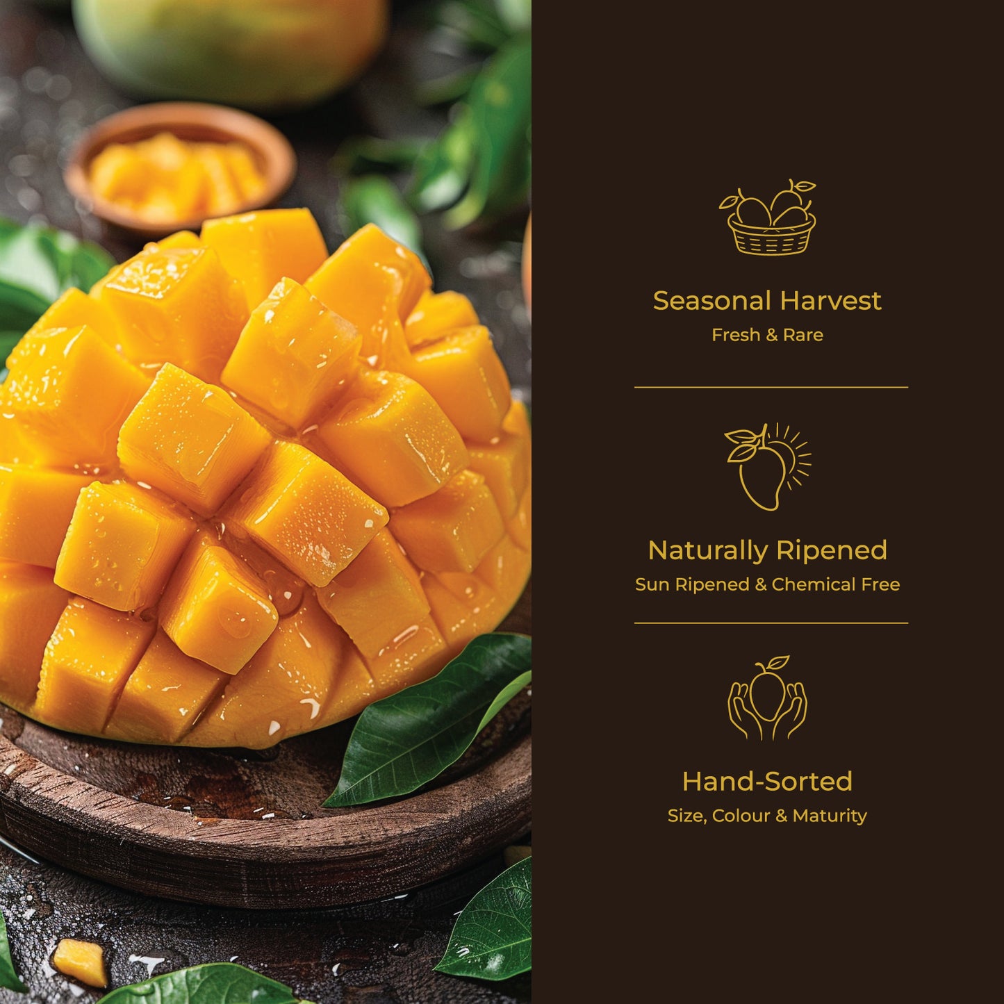 FarmSe Alphonso Mango Trial Pack 800g - 1000g - Box of 4 to 6 Mangoes (Sourced from Ratnagiri and Devgad)
