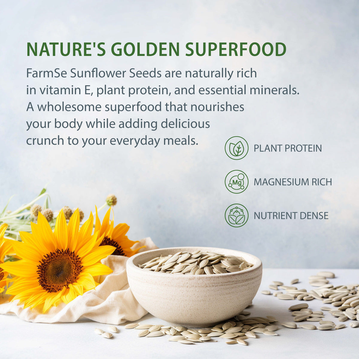 Sunflower Seeds 100 Grams