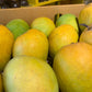 Farmse Organic Alphonso Mangoes Hafus A Category  (Size 190 - 230 Gm's/ Pc)