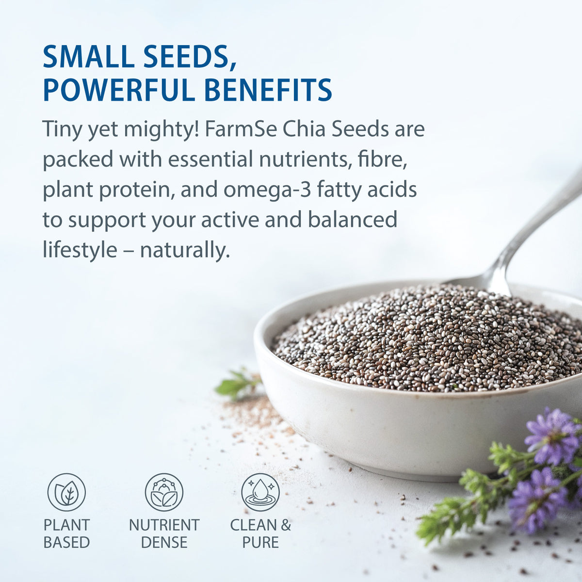 Chia Seeds 100 Grams