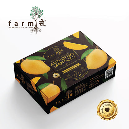FarmSe Alphonso Mangoes 240g - 270g/Piece - Box of 12 Mangoes (Sourced from Ratnagiri and Devgad)