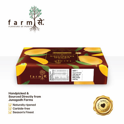 FarmSe Kesar 1.5kg Mangoes - Pack of 5 Mangoes