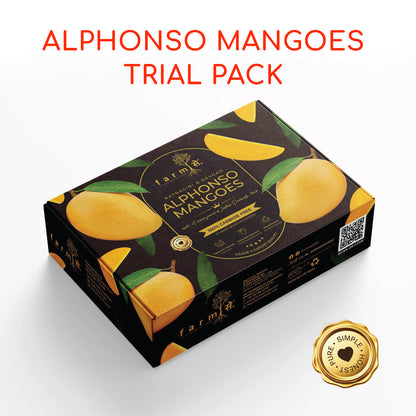 FarmSe Alphonso Mango Trial Pack 800g - 1000g - Box of 4 to 6 Mangoes